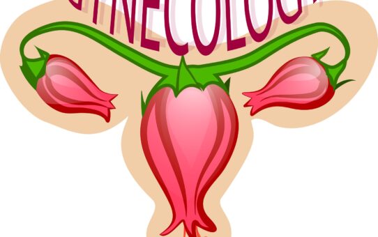 Cysta na vaječníku zmizla (video)